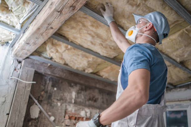 Best Geographic-Specific Insulation Services in Hazel Dell, WA